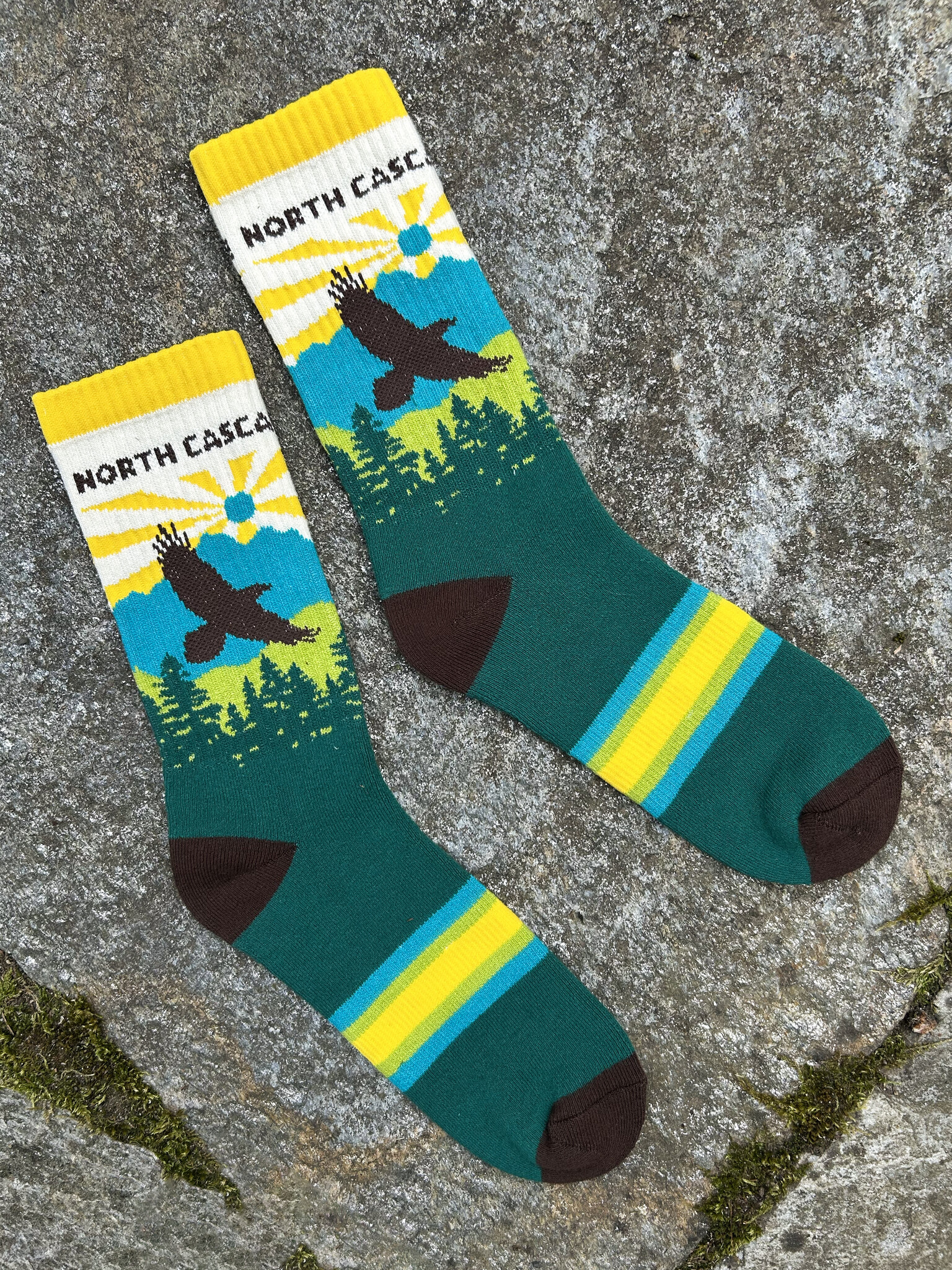 Socks NCI 40th Anniversary
