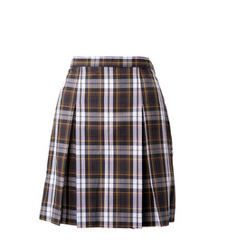 Brown Plaid Skirt