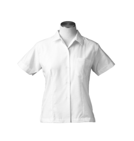 Fitted Oxford (5591)