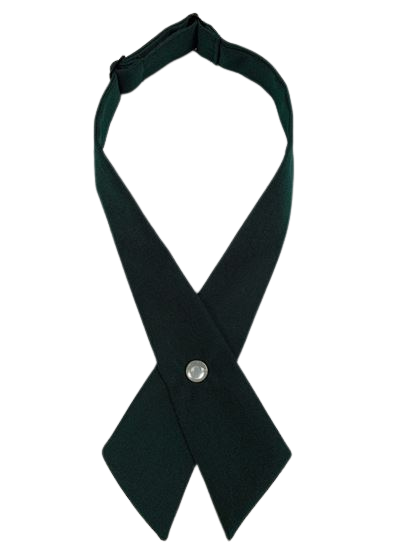 OLA Our Lady of the Assumption School (OLA) Tie  Navy Crossover (Girls)