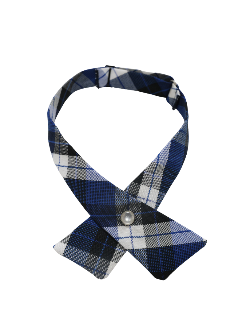 ST. LOUISE St. Louise De Marillac  Tie  Plaid #108 Crossover (Girls)