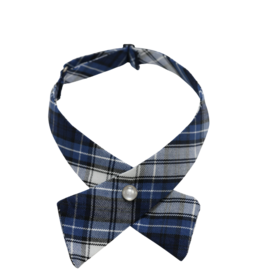 OLL Our Lady of Lourdes School (OLL) Tie PLAID Crossover One Size