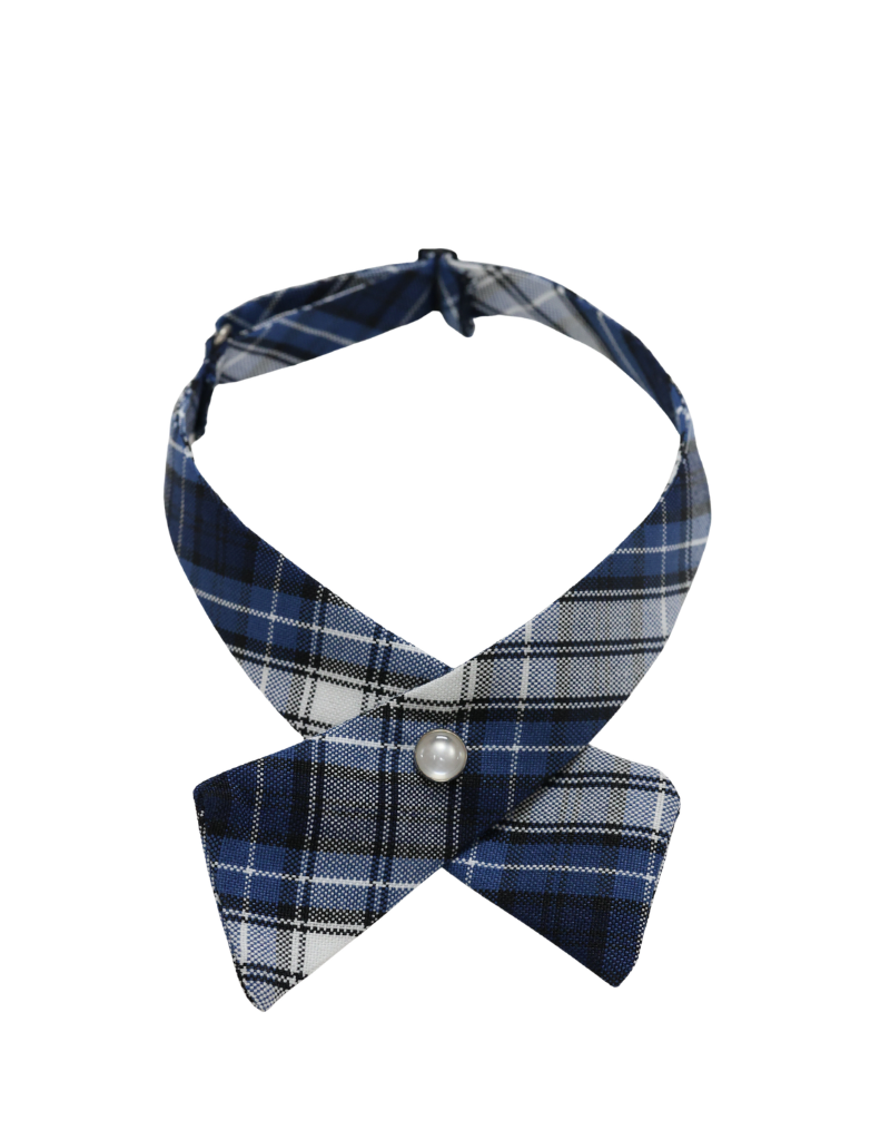 OLL Our Lady of Lourdes School (OLL) Tie PLAID Crossover One Size