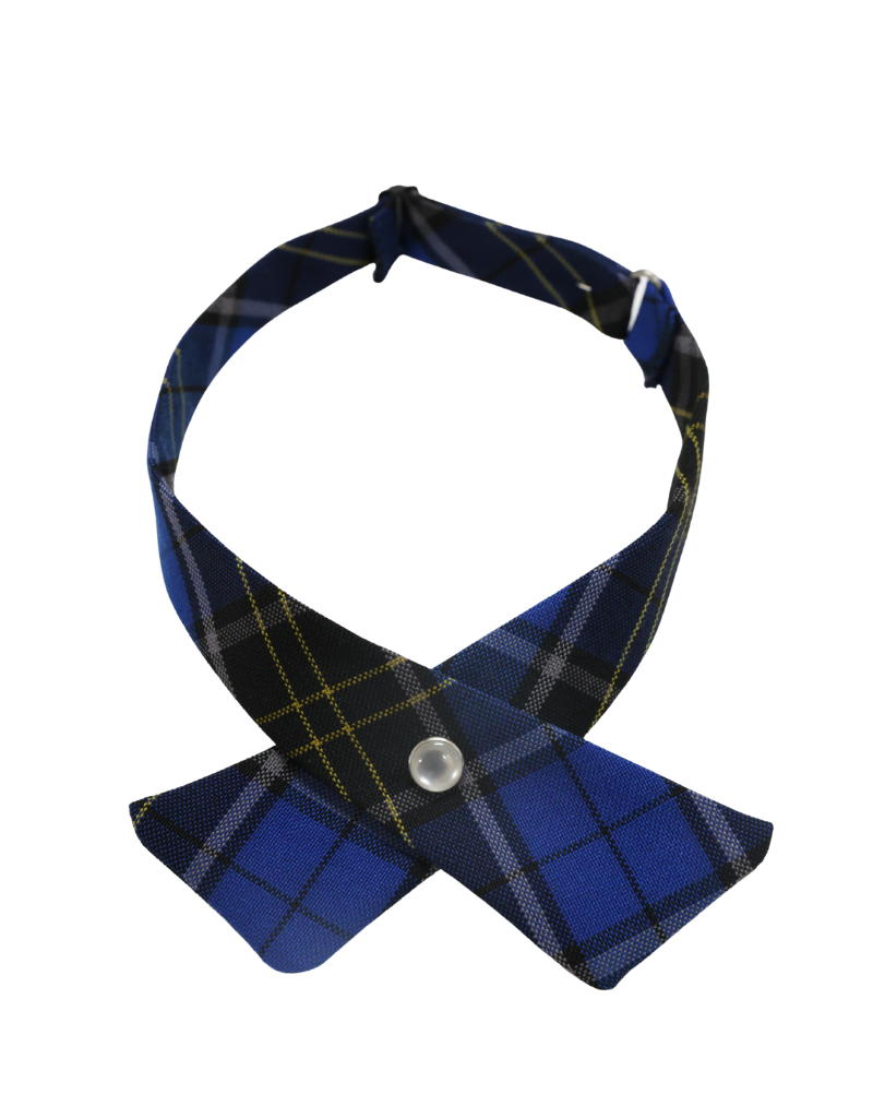ST. ANDREW St. Andrew Elementary School Tie PLAID Crossover