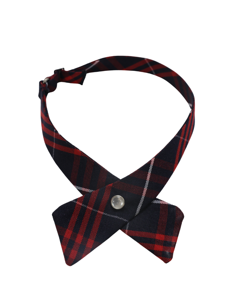 SSFP SS. Felicitas & Perpetua Elementary School (SSFP) Tie PLAID Crossover One Size