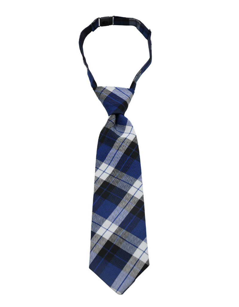 ST. LOUISE St. Louise De Marillac  Tie  Plaid #108 Pre-Tied (Boys) 16"