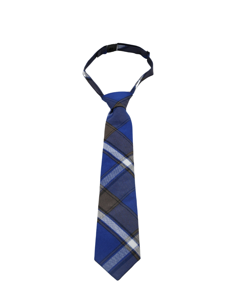 ST GEORGE St. George Catholic School Tie