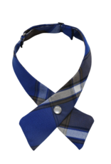 ST GEORGE St. George Catholic School Tie