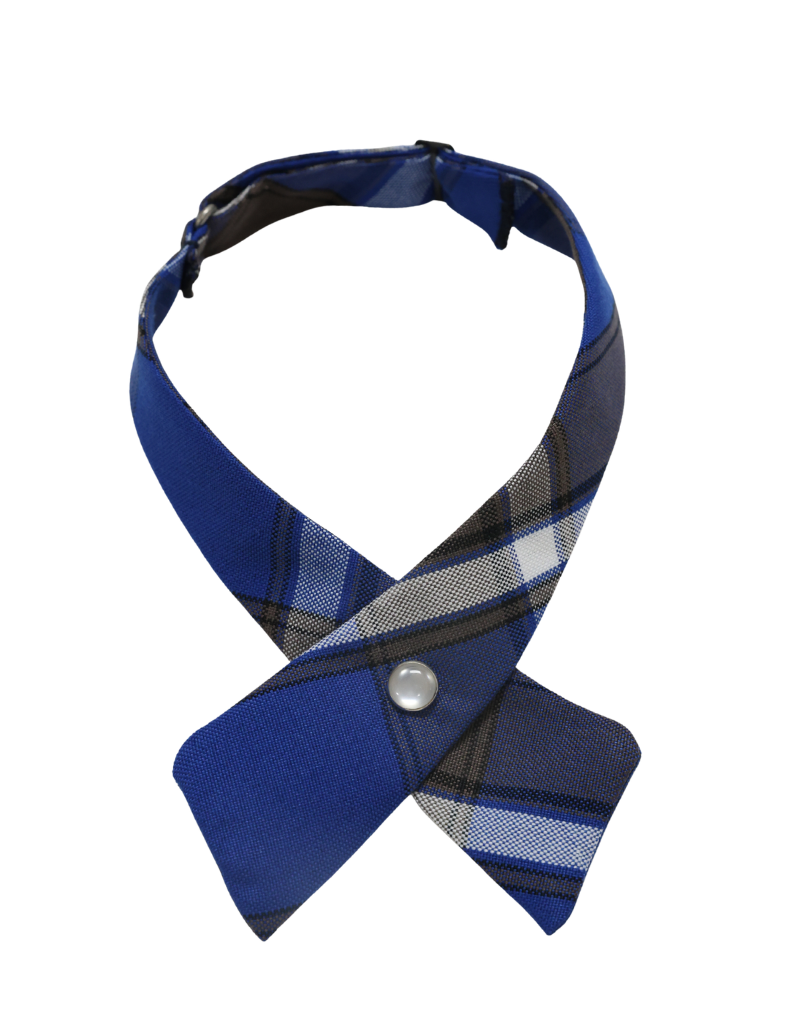ST GEORGE St. George Catholic School Tie