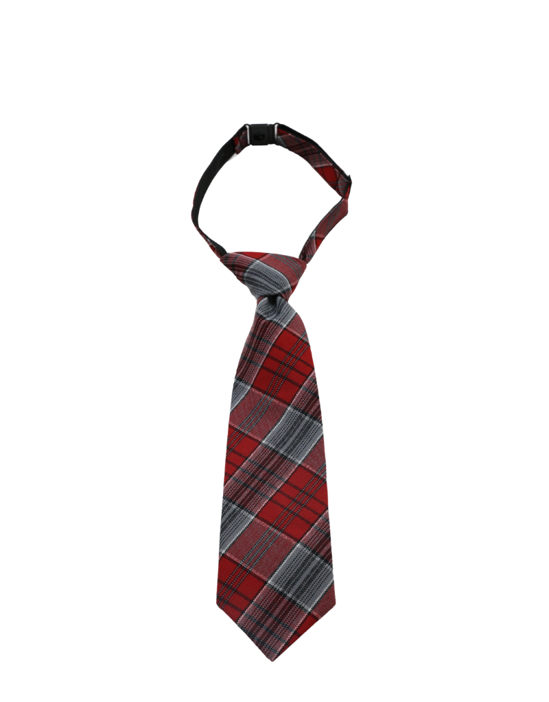 ST MARGARET MARY St. Margaret Mary School Tie