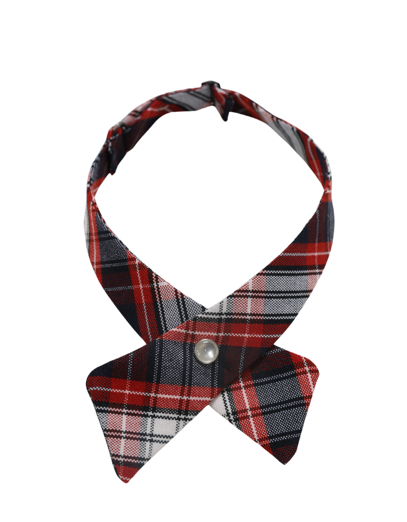 SHES Lincoln Heights Sacred Heart Elementary School (SHES) Tie