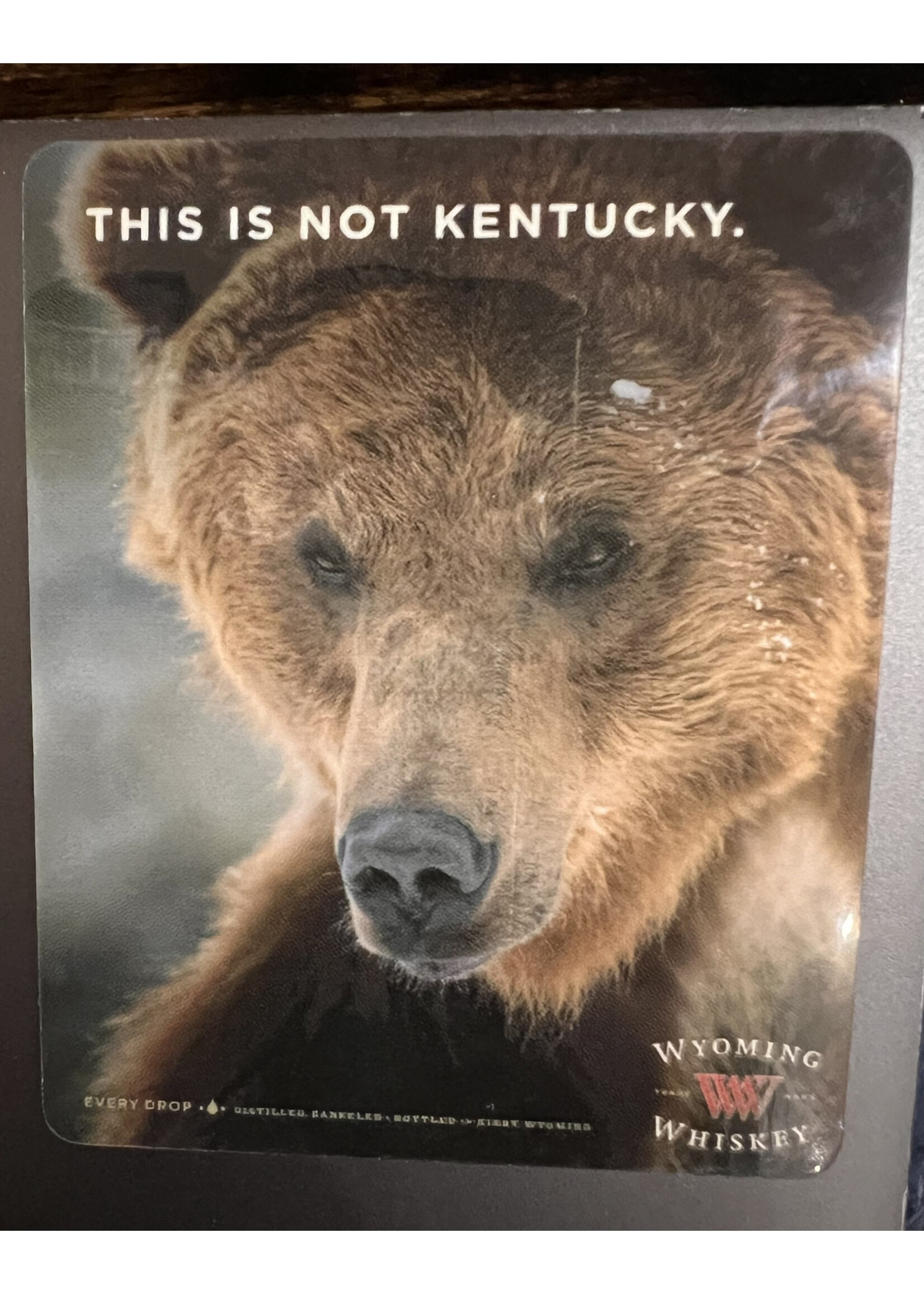 WW Grizzly Sticker