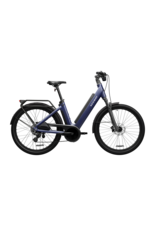 Segway Segway Myon e-bike Shoe Suede Blue
