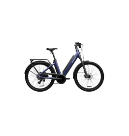 Segway Segway Myon e-bike Shoe Suede Blue