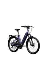 Segway Segway Myon e-bike Shoe Suede Blue