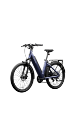 Segway Segway Myon e-bike Shoe Suede Blue