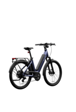 Segway Segway Myon e-bike Shoe Suede Blue