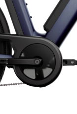 Segway Segway Myon e-bike Shoe Suede Blue