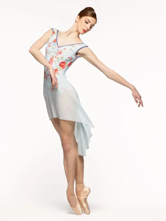 Eleve Eleve Stella Leo