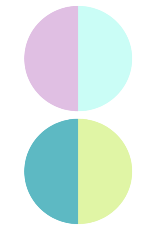 Roxie Dancewear RD Addison Leo