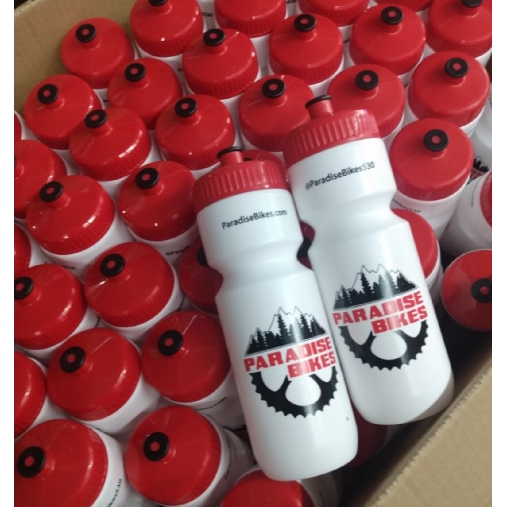 Paradise Bikes Shop Water Bottle, Red Top, 24oz