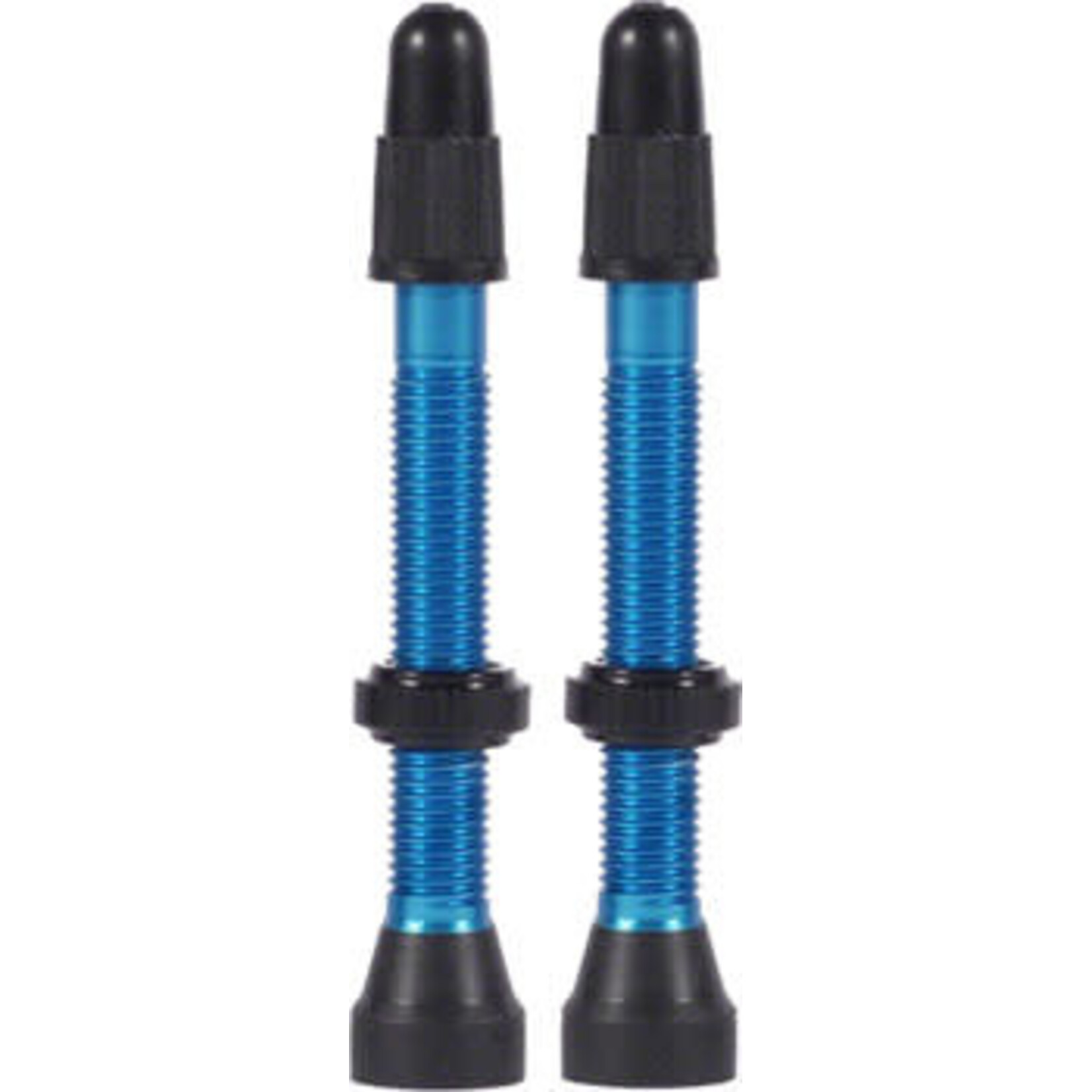 WTB WTB Aluminum TCS Tubeless Valves: 34mm, Blue, Pair