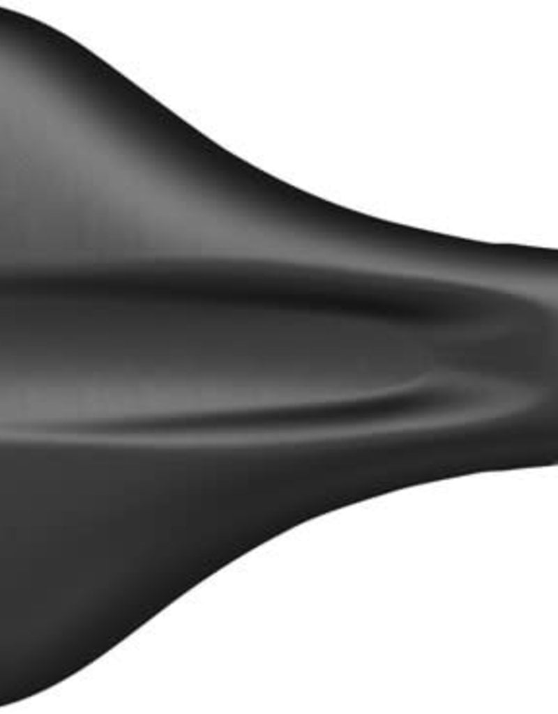 Ergon Ergon SFC3 Saddle - Steel, Black, Large