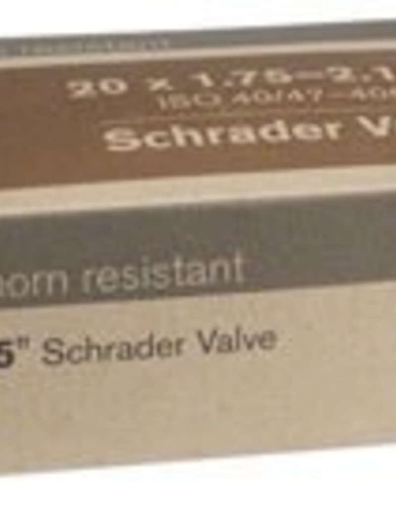 Teravail 20x1.75-2.125 Q-Tubes Thorn Resist Schrader Valve Tube 475g *Low Lead Valve*