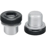 Problem Solvers Crankset Bolts with Black 10mm Allen Caps