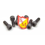 S&M S&M Stem Bolts Qty 6