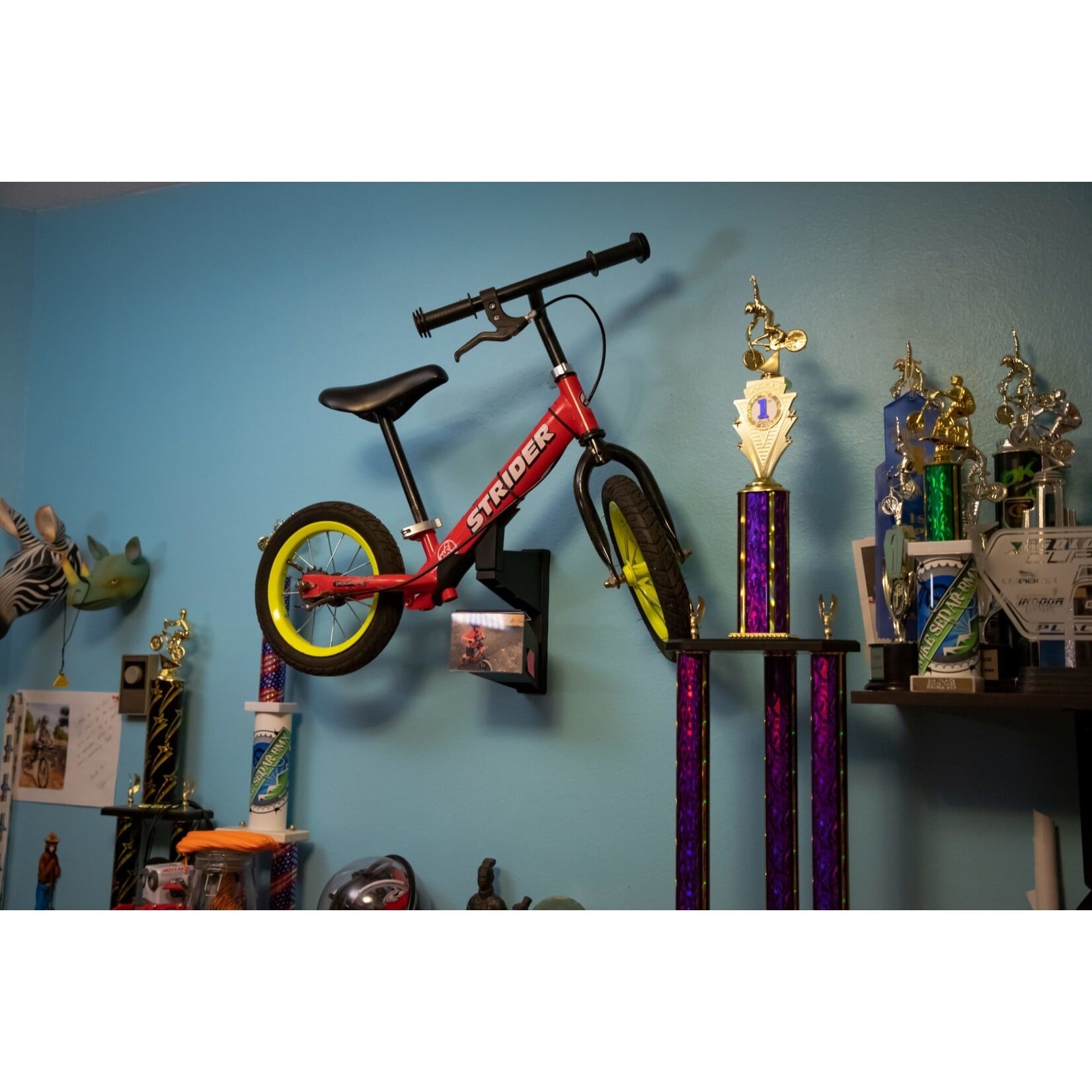 Strider Strider Memory Mount