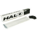 Halo Aura Spokes Box of 100