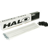 Halo Aura Spokes Box of 100