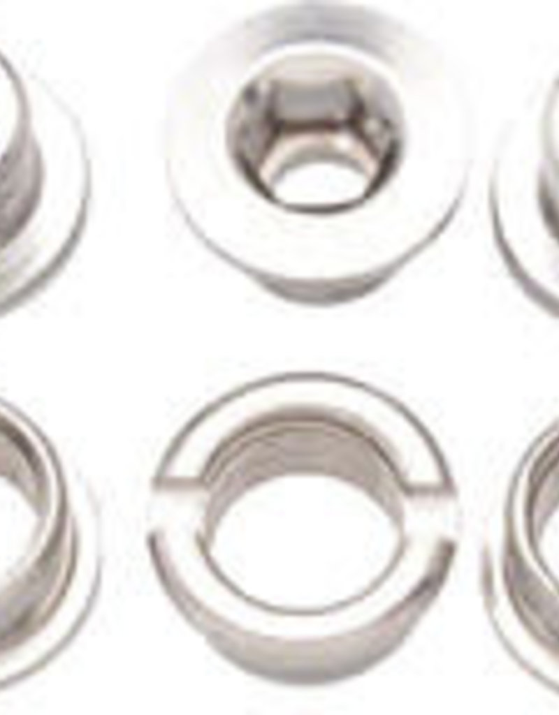 Problem Solvers Single Chainring Bolts Silver Alloy