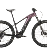 Aventon Ramblas 29" eMTB, Hardtail