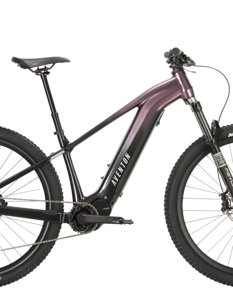 Aventon Ramblas 29" eMTB, Hardtail