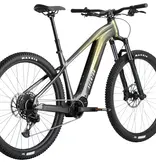 Aventon Ramblas 29" eMTB, Hardtail