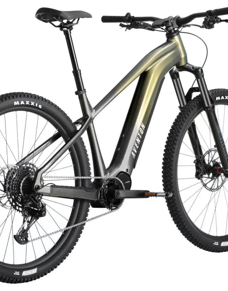 Aventon Ramblas 29" eMTB, Hardtail