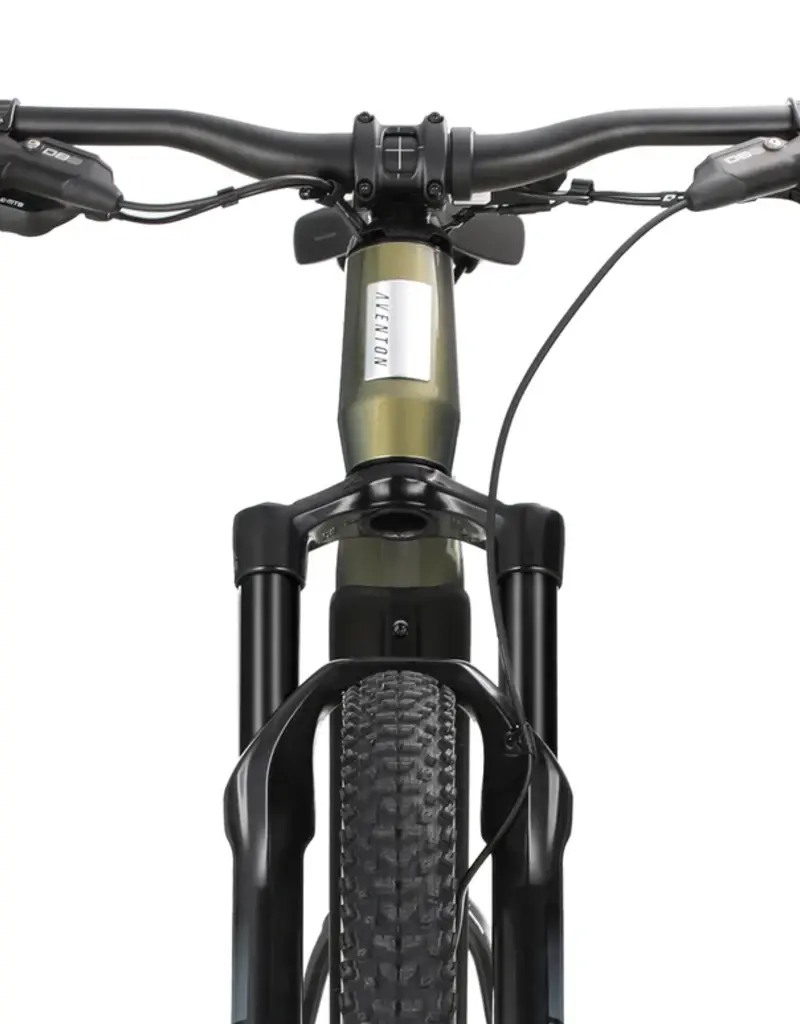 Aventon Ramblas 29" eMTB, Hardtail