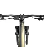 Aventon Ramblas 29" eMTB, Hardtail