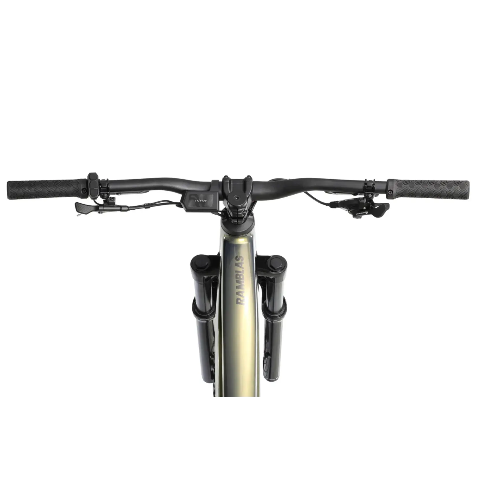 Aventon Ramblas 29" eMTB, Hardtail