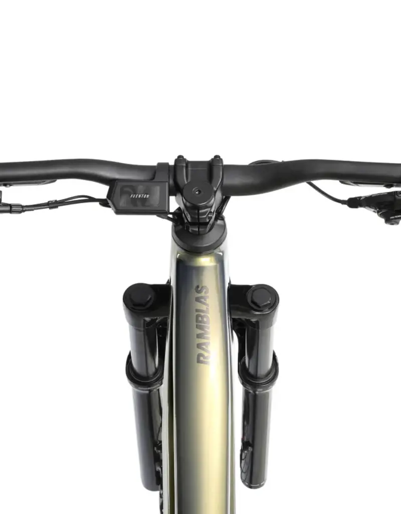 Aventon Ramblas 29" eMTB, Hardtail