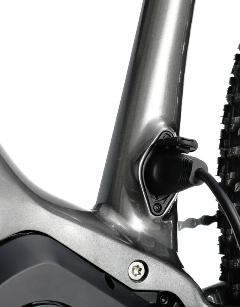 Aventon Ramblas 29" eMTB, Hardtail