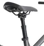 Aventon Ramblas 29" eMTB, Hardtail