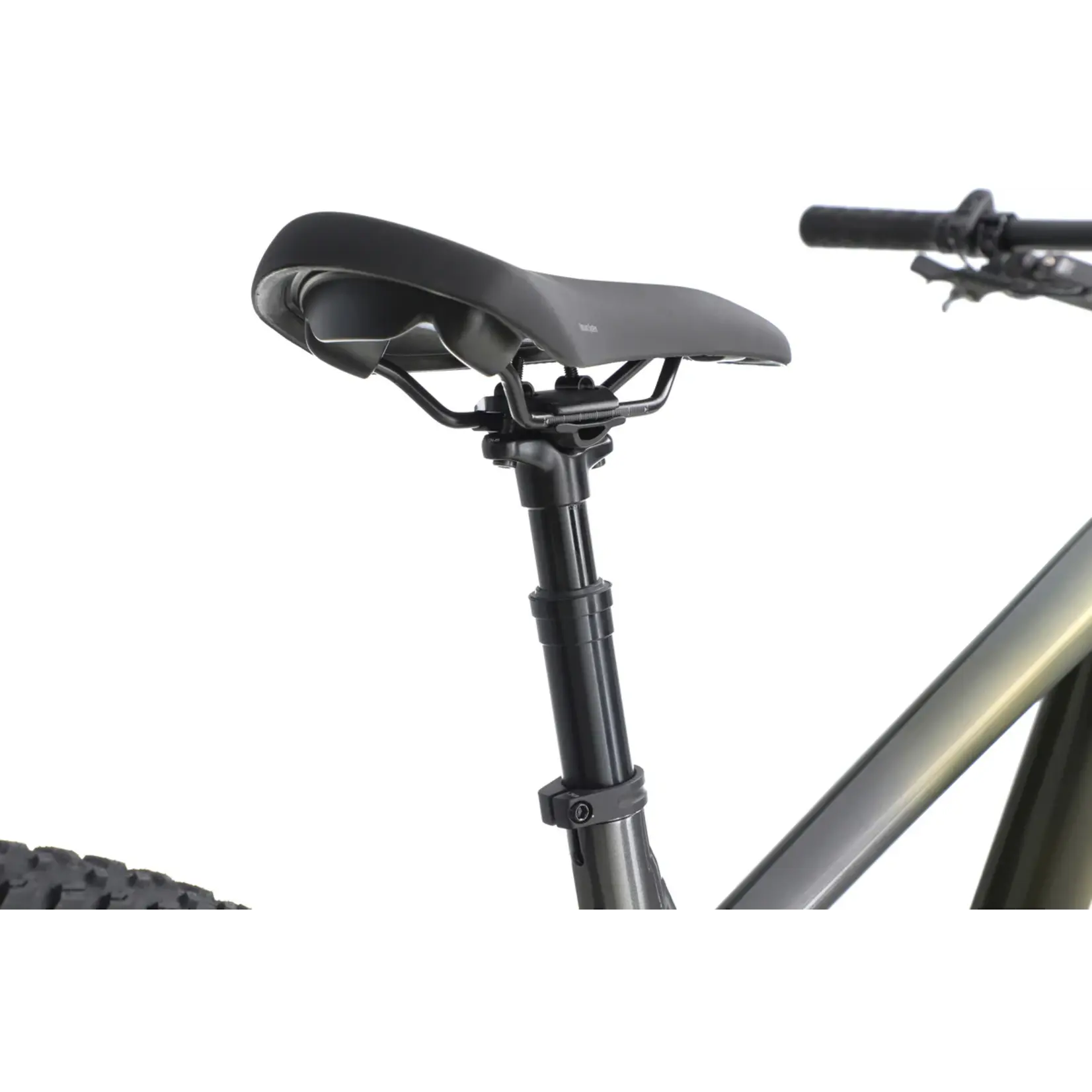 Aventon Ramblas 29" eMTB, Hardtail