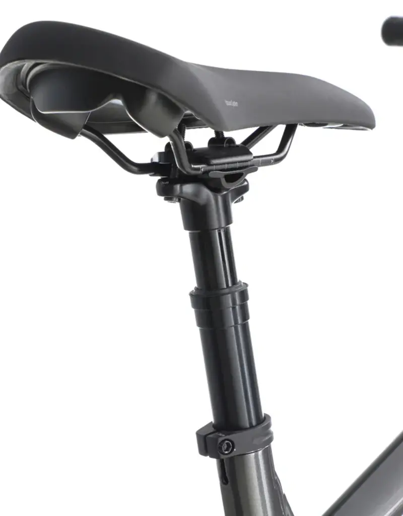 Aventon Ramblas 29" eMTB, Hardtail
