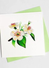 Quilling Card White Hawthron Blossom