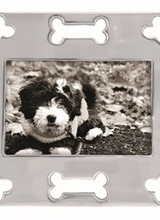 Mariposa Open Dog Bone Frame