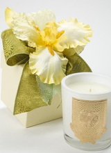 Lux Fragrances Citron Candle Flower Box