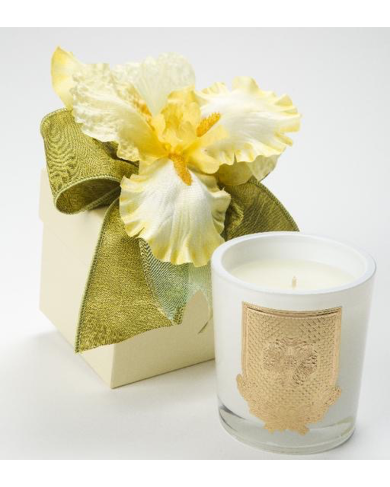 Lux Fragrances Citron Candle Flower Box